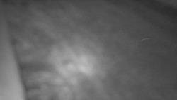 Nástup na běžecké tratě