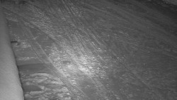 Nástup na běžecké tratě