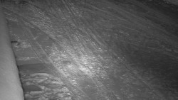 Nástup na běžecké tratě