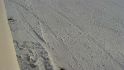 Nástup na běžecké tratě