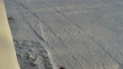 Nástup na běžecké tratě