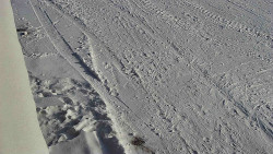 Nástup na běžecké tratě