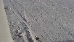 Nástup na běžecké tratě