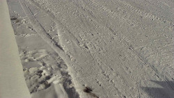 Nástup na běžecké tratě