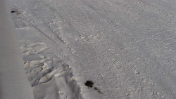 Nástup na běžecké tratě