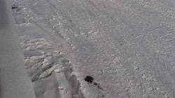 Nástup na běžecké tratě