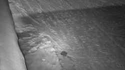 Nástup na běžecké tratě