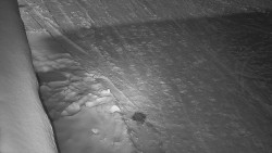 Nástup na běžecké tratě