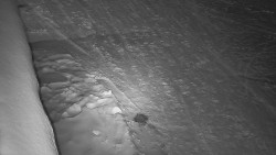 Nástup na běžecké tratě