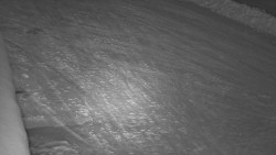 Nástup na běžecké tratě