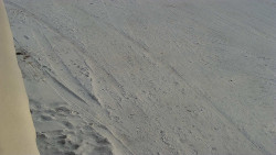 Nástup na běžecké tratě