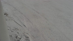 Nástup na běžecké tratě