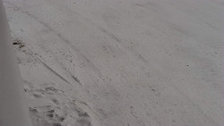 Nástup na běžecké tratě