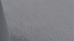 Nástup na běžecké tratě