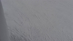 Nástup na běžecké tratě