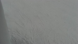 Nástup na běžecké tratě