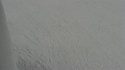 Nástup na běžecké tratě