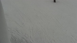 Nástup na běžecké tratě