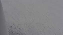 Nástup na běžecké tratě