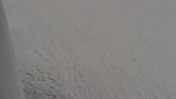 Nástup na běžecké tratě