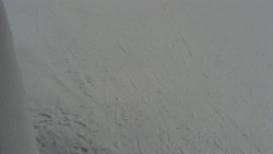 Nástup na běžecké tratě