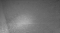 Nástup na běžecké tratě