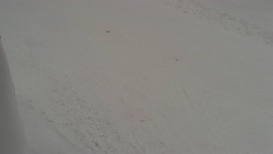 Nástup na běžecké tratě