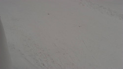 Nástup na běžecké tratě