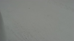 Nástup na běžecké tratě