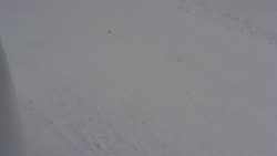 Nástup na běžecké tratě