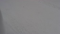 Nástup na běžecké tratě