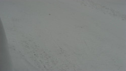 Nástup na běžecké tratě