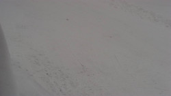 Nástup na běžecké tratě