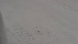 Nástup na běžecké tratě