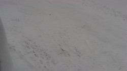 Nástup na běžecké tratě