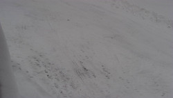 Nástup na běžecké tratě