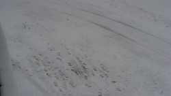 Nástup na běžecké tratě