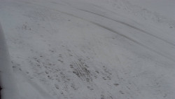 Nástup na běžecké tratě