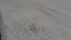 Nástup na běžecké tratě