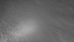 Nástup na běžecké tratě