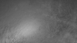 Nástup na běžecké tratě