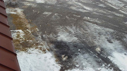 Nástup na běžecké tratě