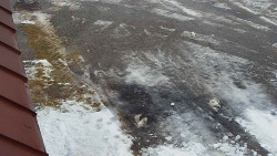 Nástup na běžecké tratě