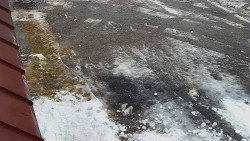 Nástup na běžecké tratě