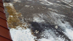 Nástup na běžecké tratě