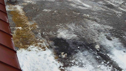 Nástup na běžecké tratě