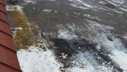 Nástup na běžecké tratě