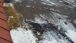 Nástup na běžecké tratě