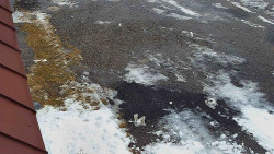 Nástup na běžecké tratě