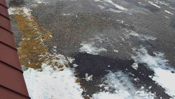 Nástup na běžecké tratě